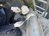 屋根漆喰打ち替え工事施工中「雨漏り前に気づくために｜専門職人だから見抜ける“見えない劣化”とは」