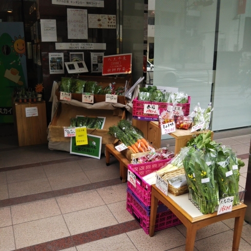 なかなか手に入りにくい変わった野菜から定番まで「キッチンカー 情報 ！ 八王子スカイホテル正面 新しく石窯ベイク たらりかさんが来てくれる事になりました。石窯で調理した カレードリア ！   八王子産野菜 販売中 新鮮野菜 朝採れ野菜」