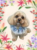 「Dog salon mofu mofu　余市町」