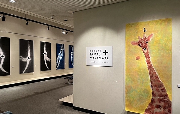 【館蔵品企画展 「玉美+MAYA MAXX」 愛媛/今治市】 今治市玉川近代美術館でコレクションの新たな楽しみ方を