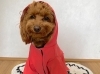 「M&M fam【まいぷれ川口掲載店の最新情報】」