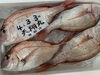 「鮮魚パックいろいろ販売中‼️〆鯖も販売致します🐳」
