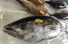 「魚魚市場鮮魚コーナーおすすめは「クロムツ」です♪」