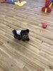 ぷっかくんBIGたまごちゃんに遊ばれ中〜　笑「ましゅまろ幼稚園　（╹◡╹）」