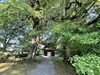 「五日市・広徳寺の大イチョウと格式ある佇まい――秋の紅葉スポットをご紹介」