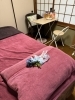 ギフレシスタイルのお部屋に「本日11月10日ギフレシ会レポとＩＬＯＶＥ☆アクセスバーズを語る・・・」