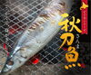 さんま「BBQにオススメな食材はコレ！旨さの理由もコレ！」