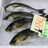 「魚魚市場鮮魚コーナーおすすめ商品は「アコウダイ・ビンチョウマグロ」です♪」