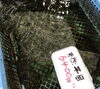 「魚魚市場鮮魚コーナーおすすめは「岩かき」です♪」