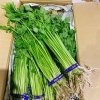 「「せり」の入荷も始まりましたよー♪♪ 宮城県産「仙台せり」です。」