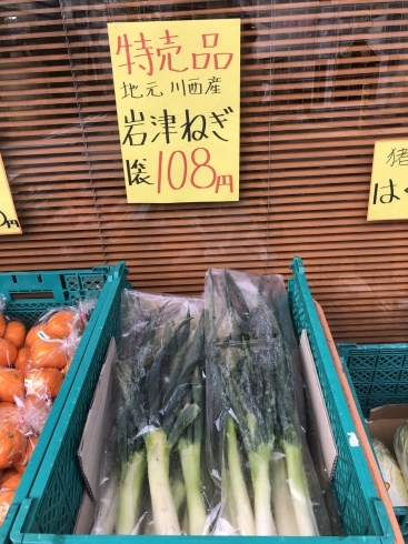 川西産　岩津ネギ　「お野菜！」