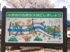 「南魚沼市の登川の上を泳ぐ鯉のぼり、5月8日まで見れます」