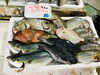 「魚魚市場鮮魚コーナーおすすめは「クロムツ・チコ鯛」です♪」