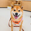 うめちゃん「今日のお友達」
