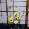 「いけばな教室」