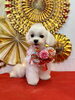 ややちゃん「Happy New Year」