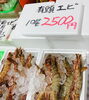 「魚魚市場鮮魚コーナーおすすめは「イシガキダイ・有頭エビ」です♪」