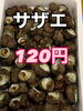 「本日岩牡蠣販売中‼️」