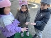 氷を発見！！「２５日からは、冬休みの預かり保育期間に入りました！」