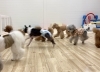 みんな全力疾走💨「ましゅまろ幼稚園🐾」
