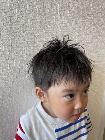 ボブ ショートカット キッズカットのお客様 Hair Salon Hitoyane ヘアサロンヒトヤネ のニュース まいぷれ 千歳 恵庭 ボブ ショートカット キッズカットのお客様 Hair Salon Hitoyane ヘアサロンヒトヤネ のニュース まいぷれ 千歳 恵庭