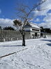 伊達市の総合公園「不動産取引の立ち会い業務いついて」