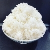 定食セットのご飯はマンガ盛りまで無料！！！