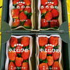 「岩手県産　「いちご」の入荷も始まっていますよー🍓🍓」