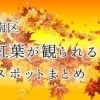 南区　紅葉が観られるスポットまとめ