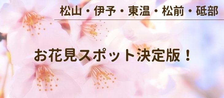 お花見情報 松山 伊予 東温 松前 砥部 まいぷれ 松山 伊予 東温 松前 砥部 お花見情報 松山 伊予 東温 松前 砥部 まいぷれ 松山 伊予 東温 松前 砥部