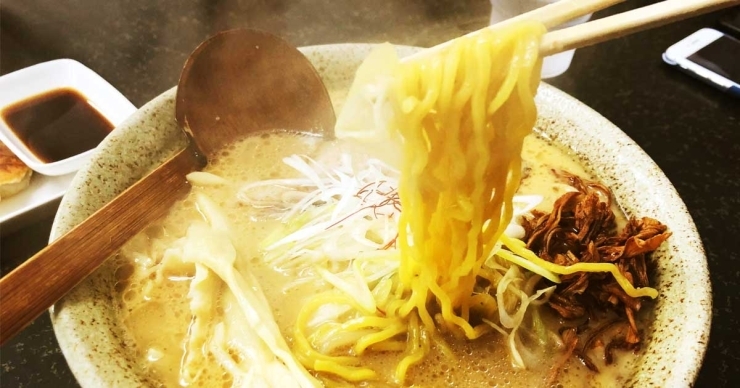 札幌市西区 手稲区でおいしいハマる人気のラーメンはこれだ 札幌市西区 手稲区のおすすめランチ特集 まいぷれ 札幌市西区 札幌市西区 手稲区でおいしいハマる人気のラーメンはこれだ 札幌市西区 手稲区のおすすめランチ特集 まいぷれ 札幌市西区