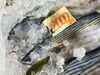 「魚魚市場鮮魚コーナーおすすめは「ハガツオ・レンコ鯛」です♪」