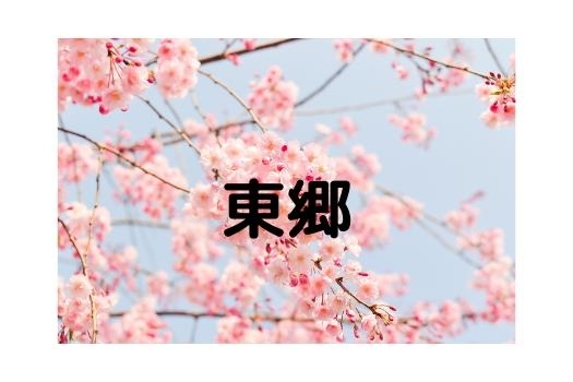 豊明 東郷 日進 長久手の桜特集 まいぷれ 豊明 東郷 日進 長久手 豊明 東郷 日進 長久手の桜特集 まいぷれ 豊明 東郷 日進 長久手