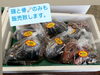 「塩引き鮭販売中でーす‼️」