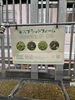 「渋谷にて」