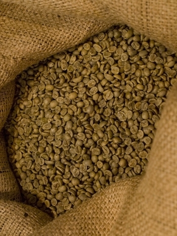 「カーレコーヒー農園」から直輸入している<br>コーヒー豆「ボルカン・アスール」。<br>ボルカン・アスールとは「青い火山」の意味。