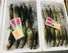 「魚魚市場鮮魚コーナーおすすめは「金目鯛・ヤリイカ」です♪」