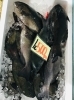「魚魚市場鮮魚コーナーおすすめ商品は「北海道産生サンマ・カレイ」です♪」