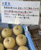 「🍇🍐京丹後産の秋の味覚、入荷しました✨」