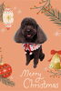 「Dog salon mofu mofu　余市町」