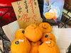「きんかん・デコポン（不知火）入荷しています！」