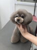 カット後「スタイルチェンジ　（＾ν＾）」