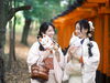 鳥居の外、カメラマンさんの撮影「ご家族やご友人同士での思い出作り—伏見稲荷大社の鳥居で記念撮影！」