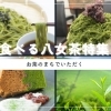 お茶のまち八女でいただく、“食べる八女茶”特集