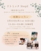🌱Step2「リトミック体験レッスンのお知らせ😊🌱」
