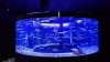 釧路の海の魚たち「Webマガジン「旅ポケット｣に掲載されました！」