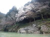「京都保津川ラフティング」