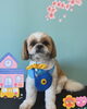 「Dog salon mofu mofu 余市町」