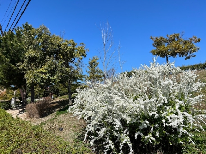 菅原天満宮  松江市宍道