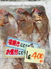 「魚魚市場鮮魚コーナーおすすめは「アジ」です♪」